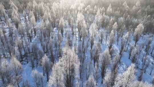 航拍雪原阳光树林雾凇视频素材模板下载