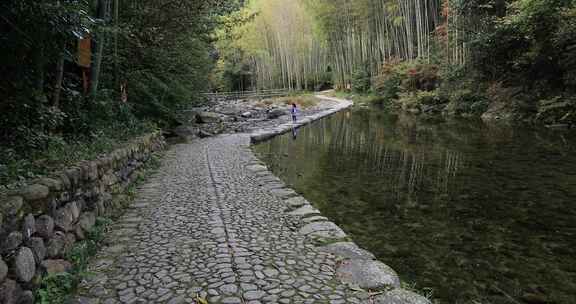 宁静的山野竹林 浙东小九寨