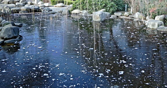 冬天池塘结冰的水面