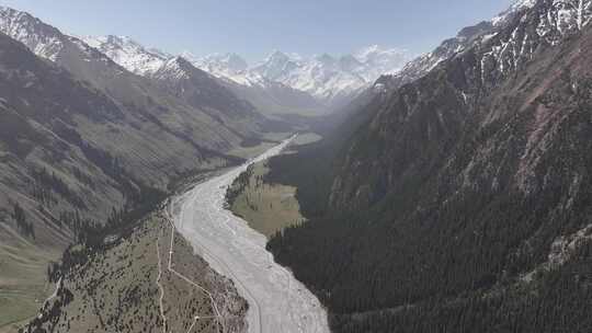 航拍新疆夏塔古道雪山森林草原视频素材模板下载