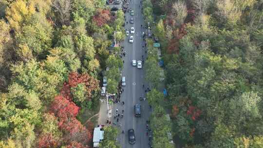 航拍鞍山孟家沟公路早市视频素材模板下载