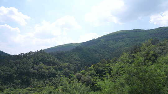 从昆明虚宁寺远观长虫山