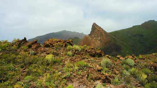 特内里费岛，山，草，岩石