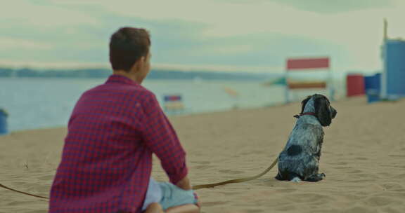 男孩和狗坐在沙滩上眺望远方