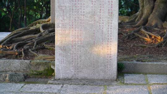 泉州九日山石刻碑文雕刻文字古代摩崖石刻