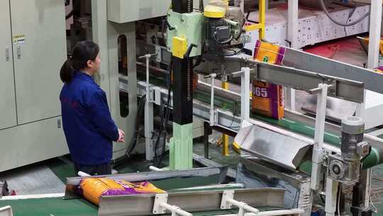 工厂女工监控生产线