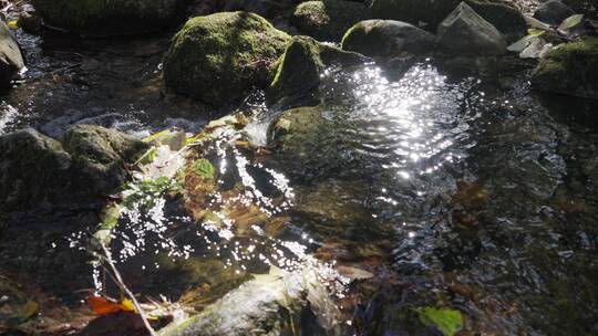 清澈山泉水源