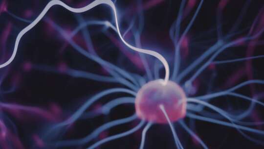 神经元细胞人体组织大脑脑部中枢
