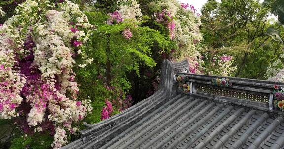 岭南庭院古建繁花似锦