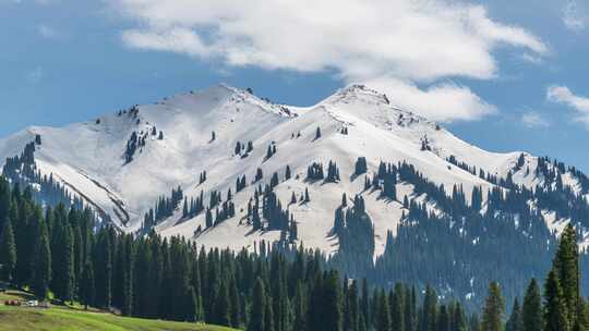 新疆伊犁库尔德宁景区雪岭云杉森林雪山延时
