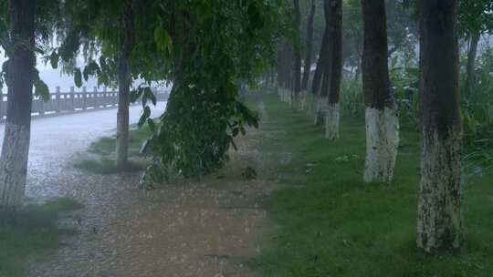 暴雨 大雨 雨水 积水