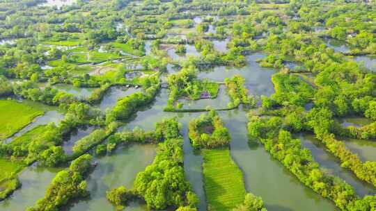 最新杭州西溪湿地航拍4K视频素材模板下载