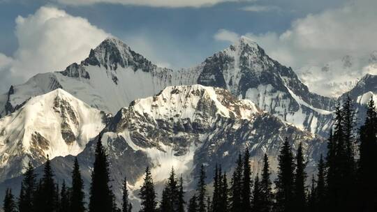 航拍森林丛林雪山风景