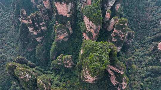 湖南张家界武陵源袁家界地质奇观