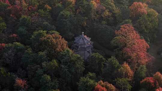 南京中山陵光化亭