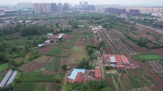 城区荒废空地市民种菜航拍