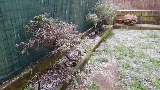 雪花飘落的庭院