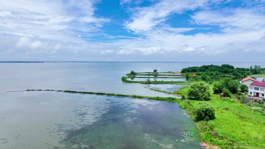 梁子湖的美景