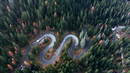 森林山地盘山公路