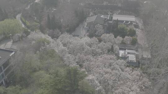 济南五龙潭 百花公园航拍