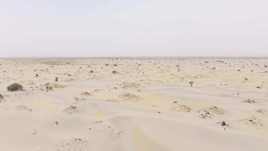航拍新疆塔克拉玛干沙漠视频素材模板下载