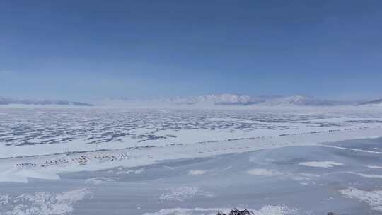 航拍新疆冬季赛里木湖冰封湖面雪山冰湖雪景