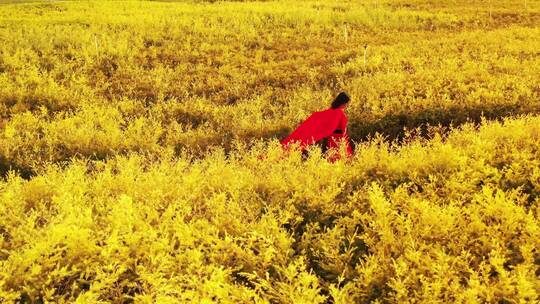 金黄色里跑动的红衣女