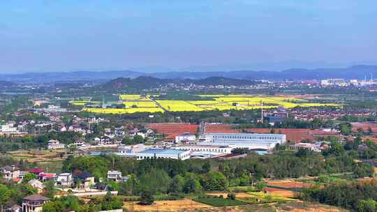 航拍美丽乡村油菜花田乡村旅游