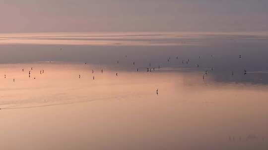 天空之境黄河入海口湿地日出