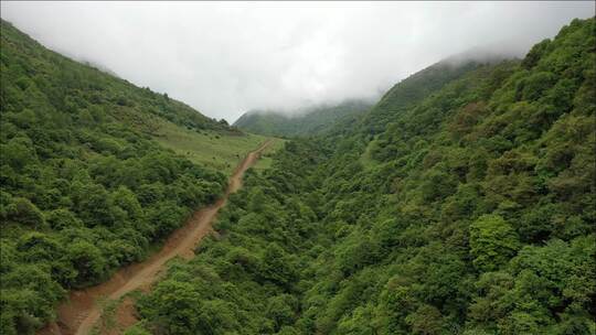 原始山区道路