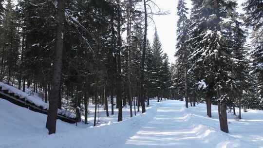 航拍新疆冬季喀纳斯神仙湾晨雾雪山森林雪景