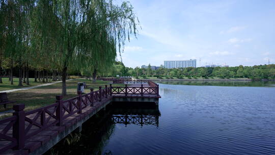 武汉汉阳区汤湖公园风景