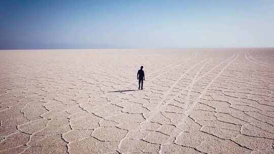 男人走在干涸的龟裂大地上 大地干旱