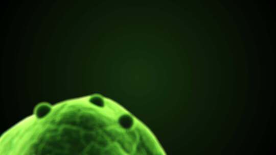 动物细菌细胞和病毒显微镜视频素材模板下载