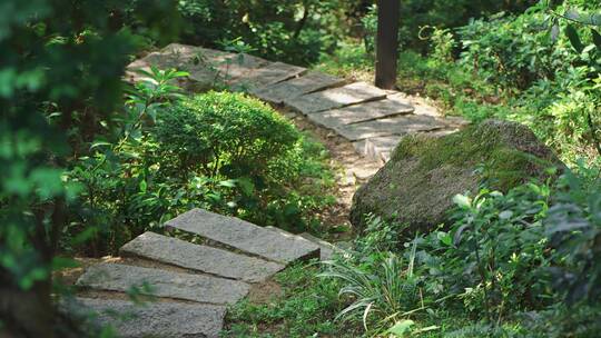 林荫小道登山道