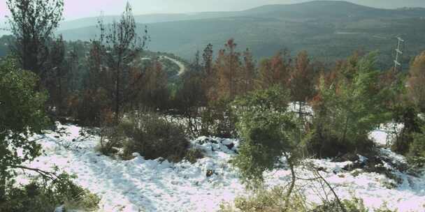 山上的森林，白雪覆盖的地板俯瞰着山丘