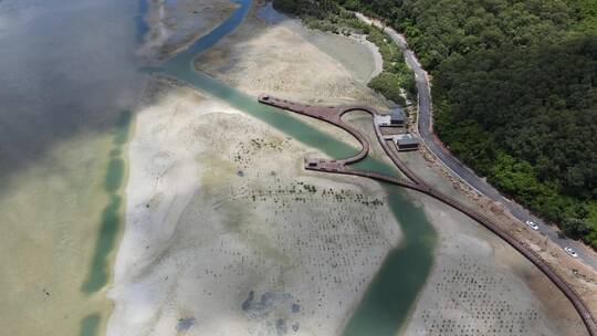 海南陵水红树林保护基地 航拍