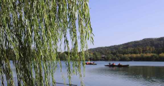 中国杭州西湖风吹柳条飘动 游船驶过