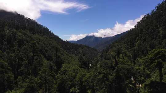 山林间云雾缭绕自然风光