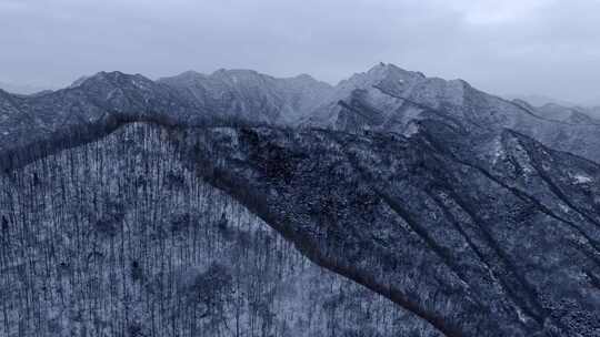 秦岭冬天下雪 白雪皑皑视频素材模板下载