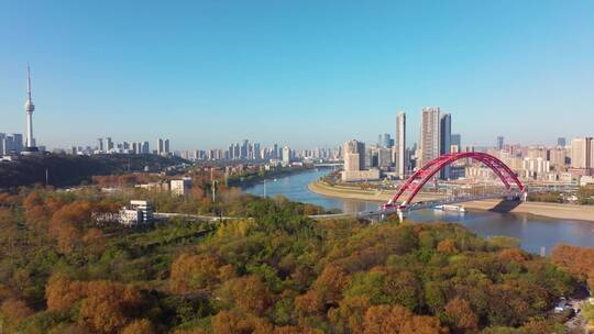 武汉汉阳南岸嘴公园秋季风光视频素材模板下载