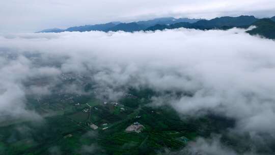 航拍森林云雾云海 秦岭山脉