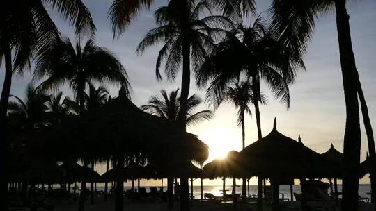棕榈滩日落的时间流逝