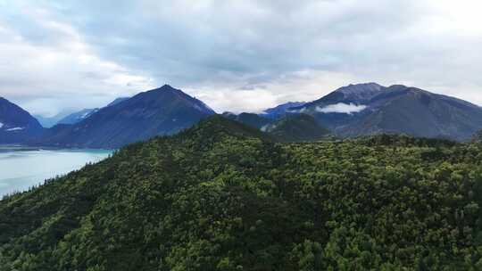 航拍人间仙境西藏高山林海云雾缭绕秋天风景