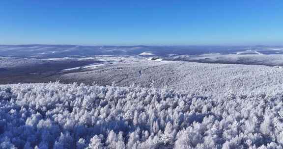 林海雪原大气雾凇20250102 (11)