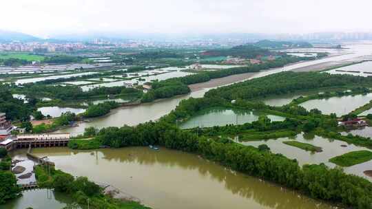 惠东红树林、基围鱼塘