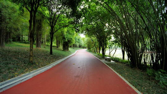 公园跑道林荫大道林间小路