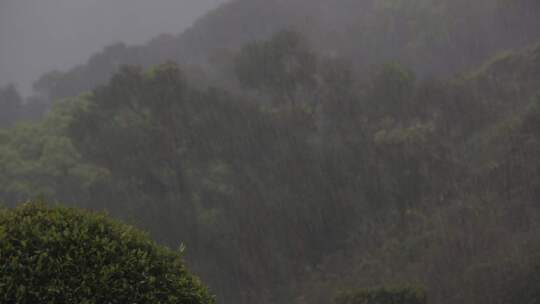 狂风暴雨