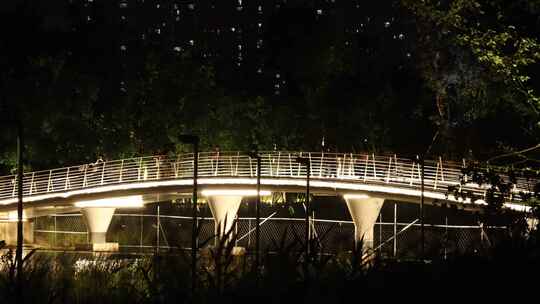 东安湖 公园 夜景 游玩 夏夜视频素材模板下载