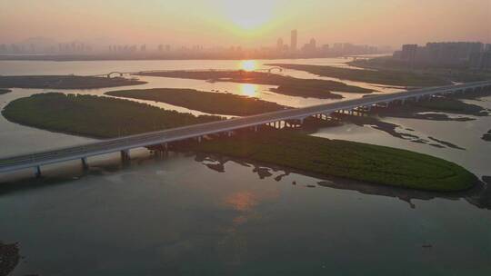 航拍厦门下潭尾湿地公园景观